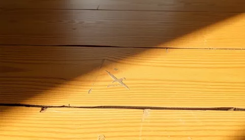 Jak naprawić drewnianą podłogę