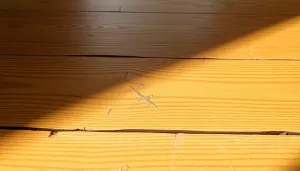 Jak naprawić drewnianą podłogę